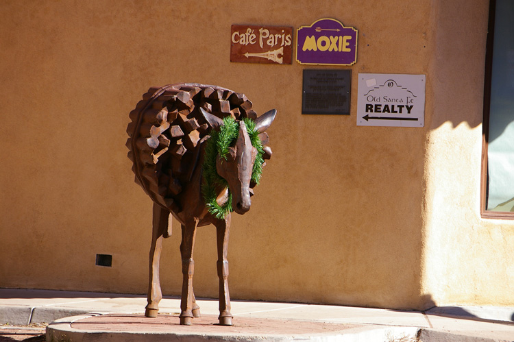 the burro of Burro Alley