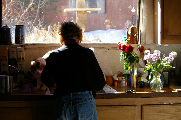 New Mexico kitchen scene