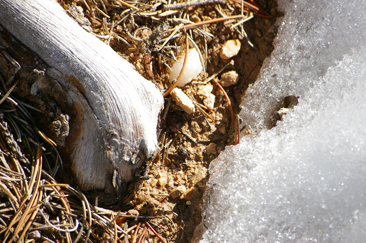 snow closeup