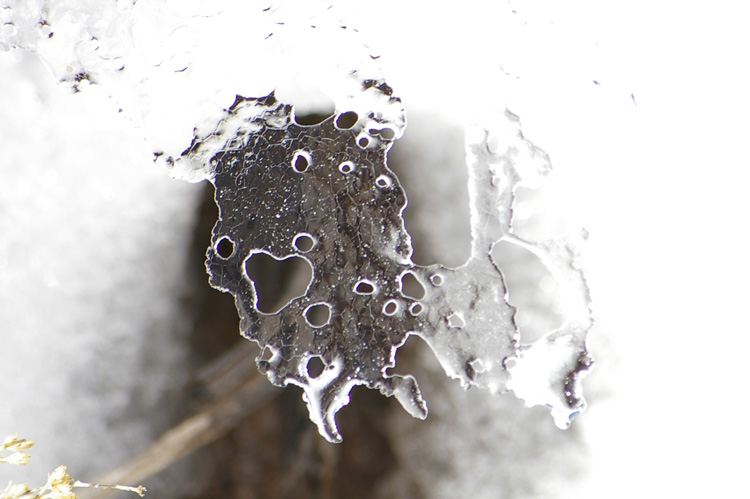 snow closeup