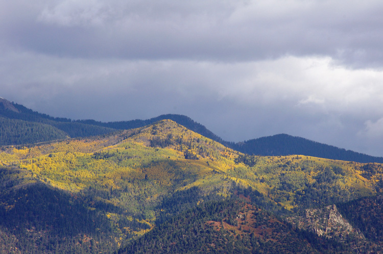 autumn leaves from Lobo Peak near Taos, New Mexico