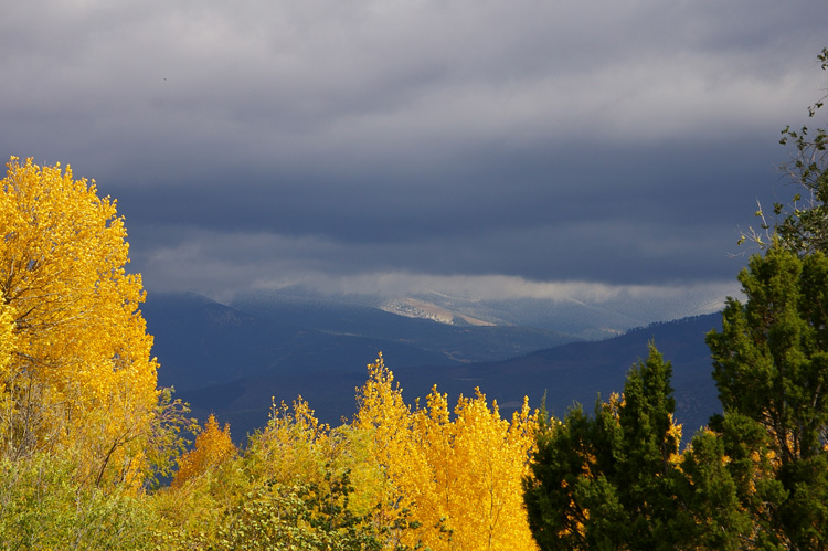 Cottonwoods, aspens, junipers, and a little bit of snow on Taos Mountain