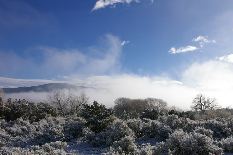 Snowy backyard in Llano Quemado, NM