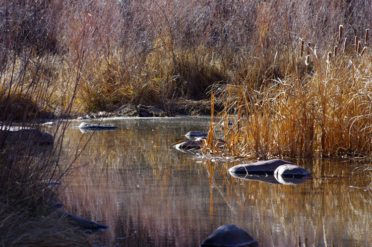 Rio Grande scene near Pilar, NM.