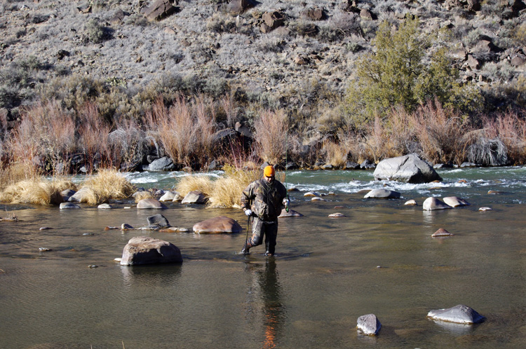 Strange creature emerges from the Rio Grande