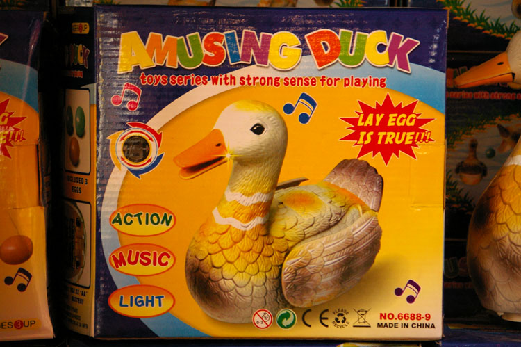 amusing duck