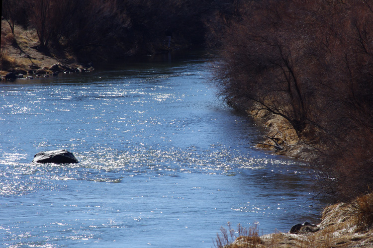 Rio Grande River near Pilar, NM