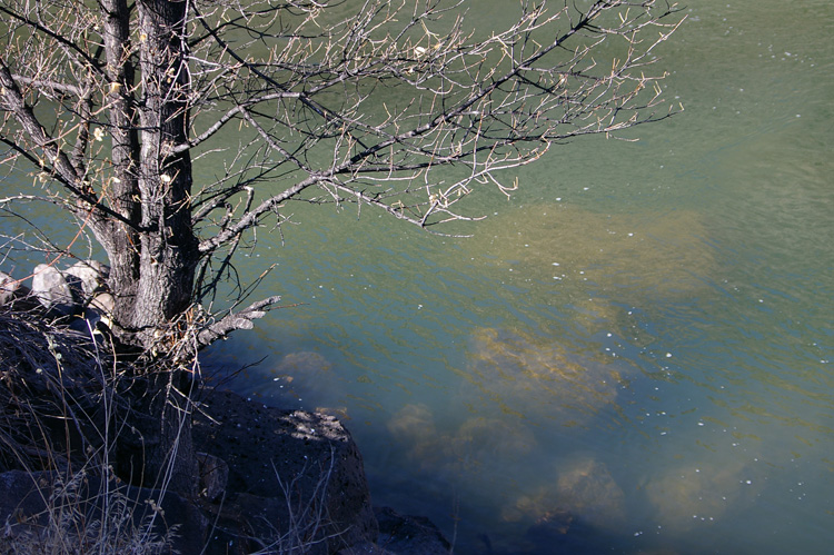 Deep water by a bend in the Rio Grande River near Pilar, NM.