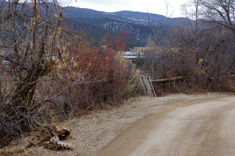 A wider view of the mystery carcass