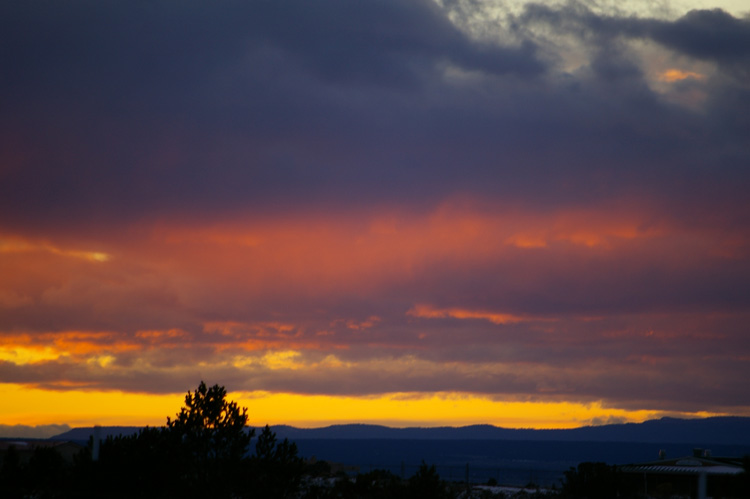 magenta virga