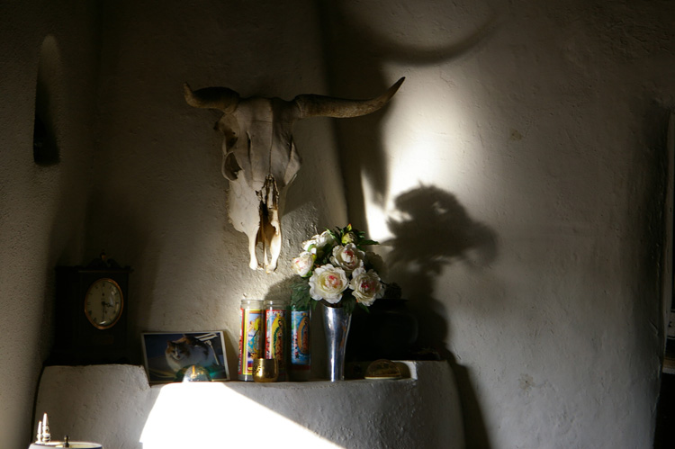 A steer skull over the kiva in Taos, New Mexico.