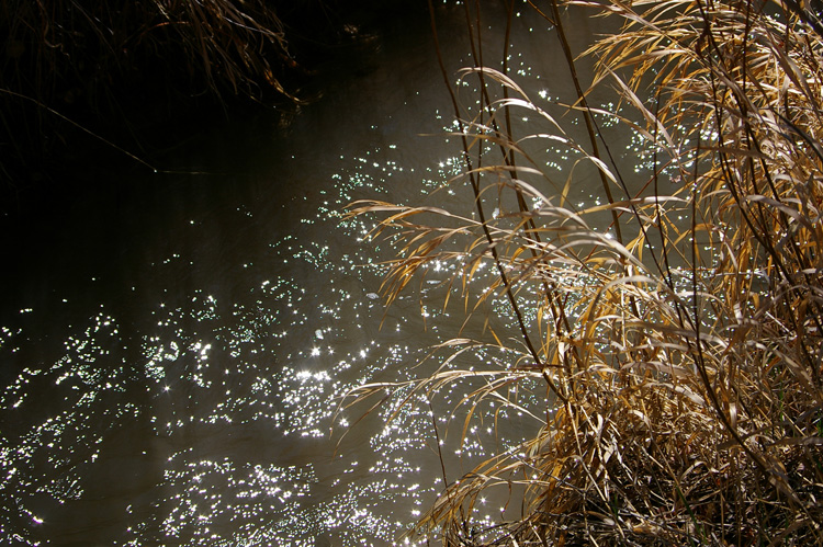 reflections on a water-filled acequia