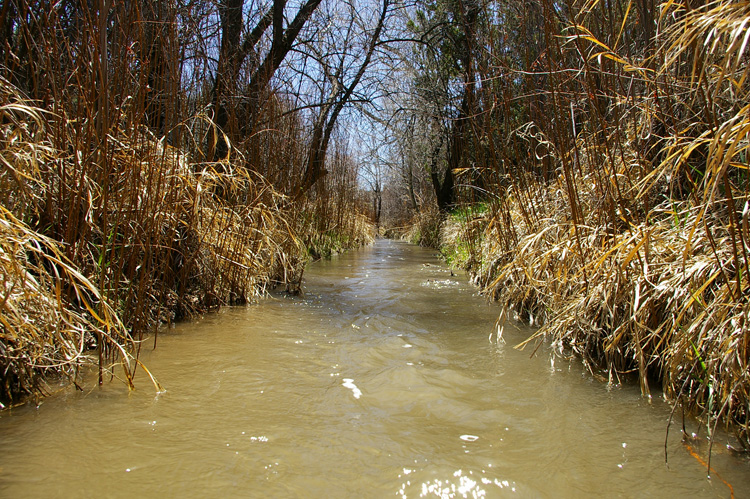 acequia in Llano Quemdao, New Mexico