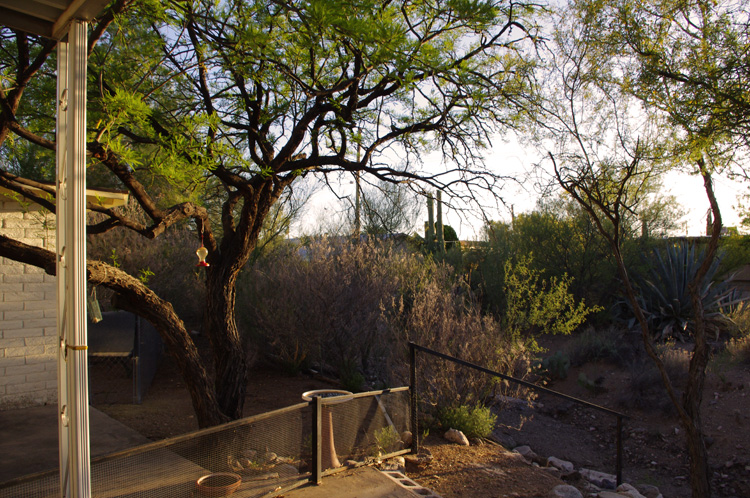 View from Tucson Estates at evening