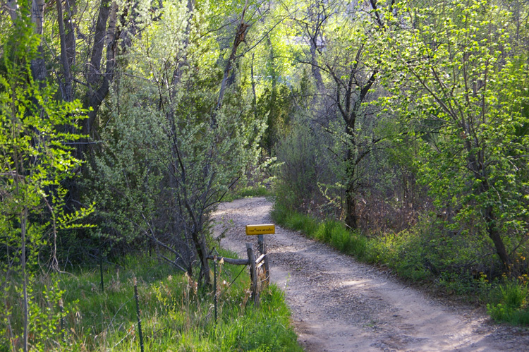 Dixon, New Mexico