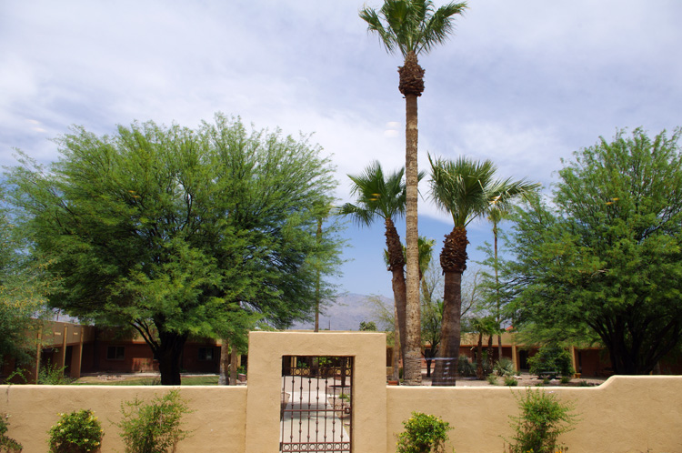 Woodland Palms in Tucson, AZ