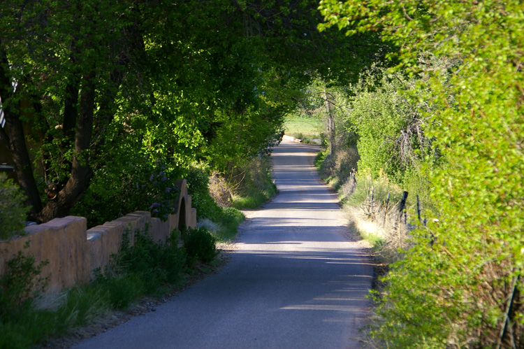 quite street in Dixon, New Mexico