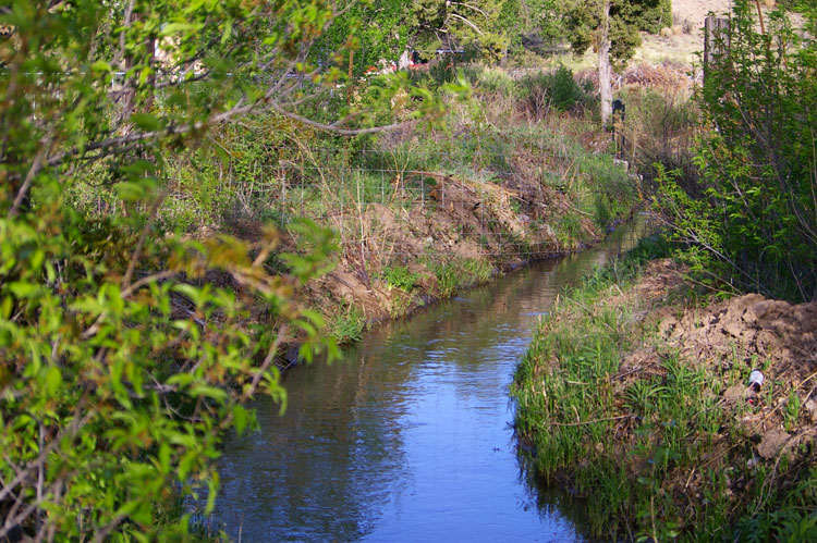 acequia in Dixon, New Mexico