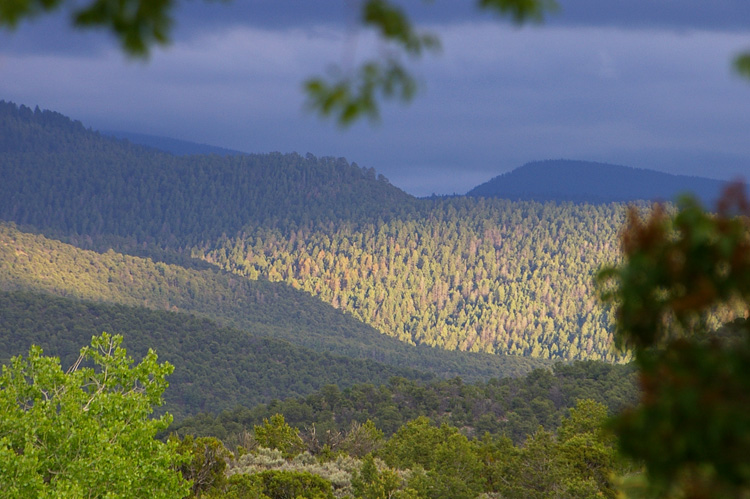 Talpa Hills