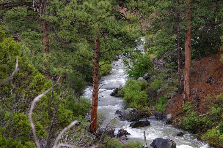 Red River, Wild Rivers area, NM