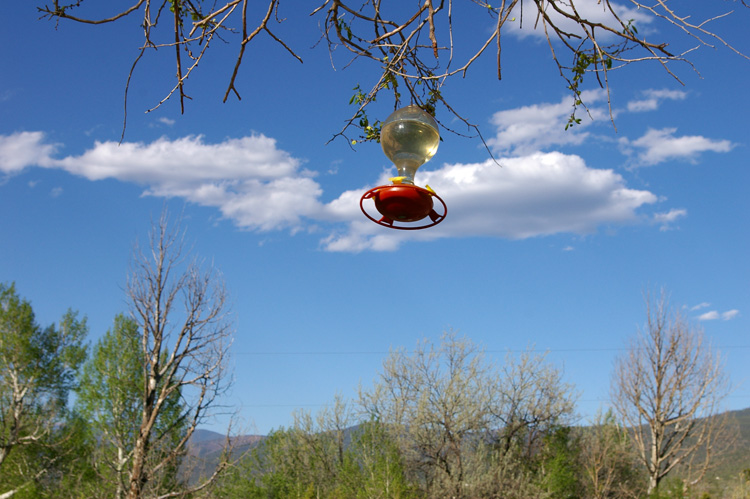 hummingbird feeder in the wind,  Taos, New Mexico