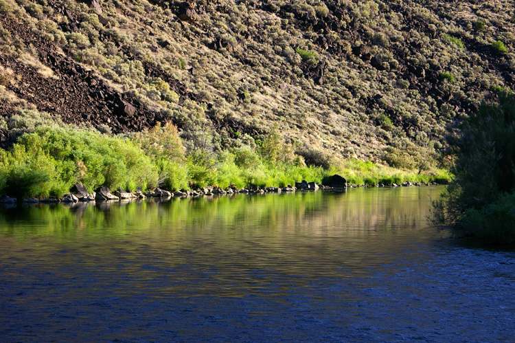 Reflections along the Rio Grande near Pilar, NM