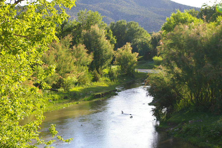 Rio Hondo near San Patricio, NM