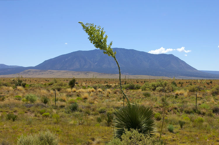 Carrizozo Peak, east of Carrizozo, NM