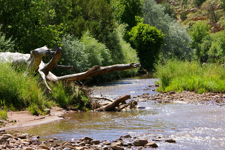 Pecos River near Villanueva, NM