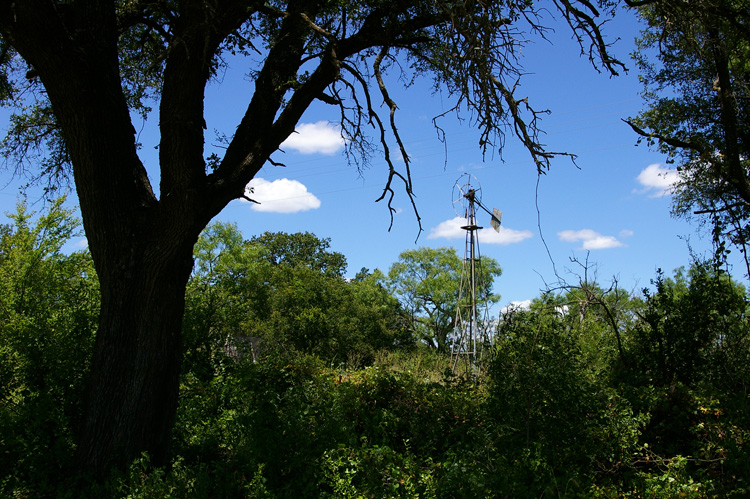 Abandoned homestead near Fredonia, TX