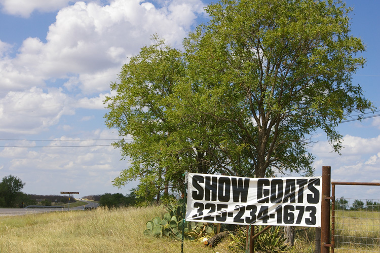 Sign outside a goat ranch somewhere in rural Texas.