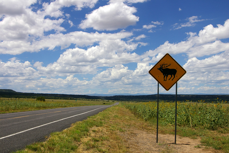 Looking west on Rt. 120 in Mora County, NM