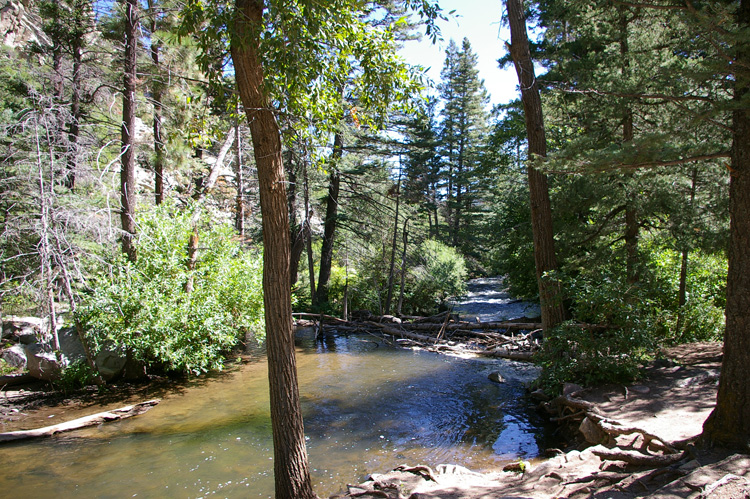 Cimarron River in New Mexico