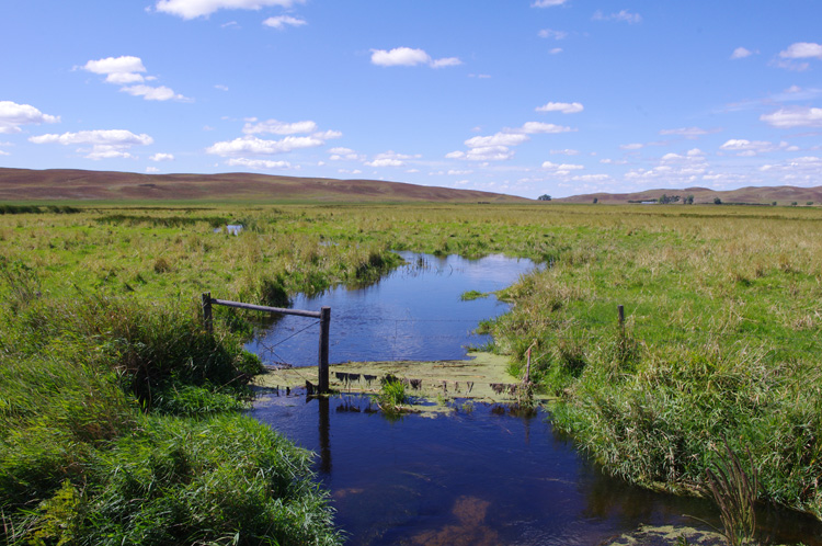 Freshwater stream in the Nebraska Sandhills